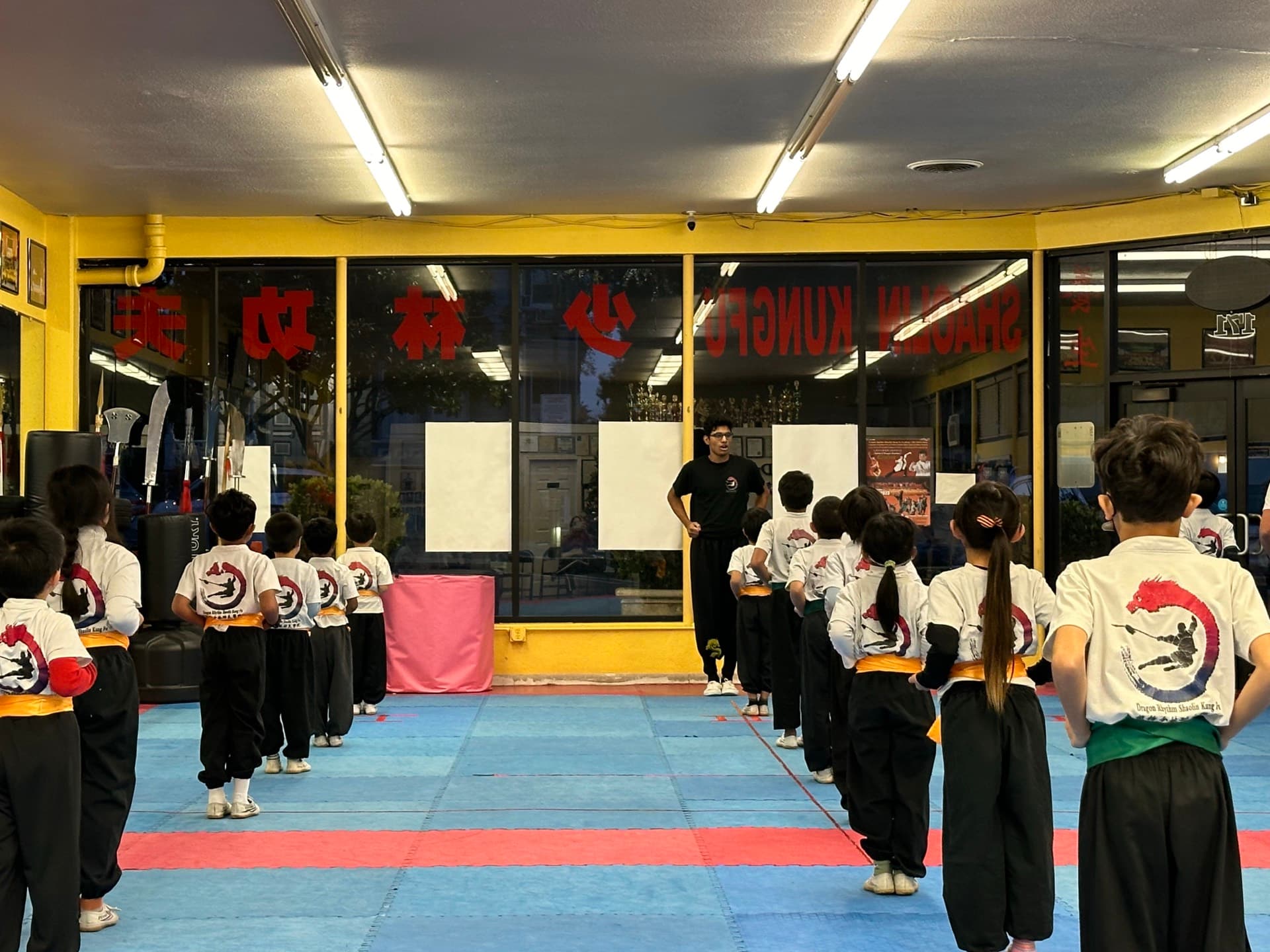 Kung Fu Assistant Master